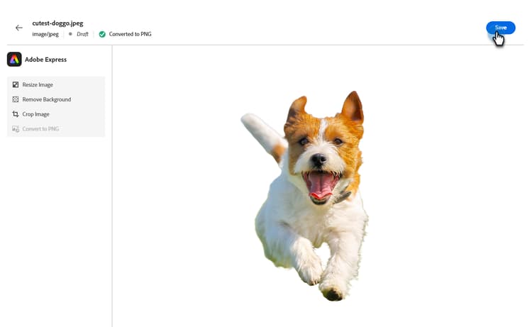 Botão Salvar