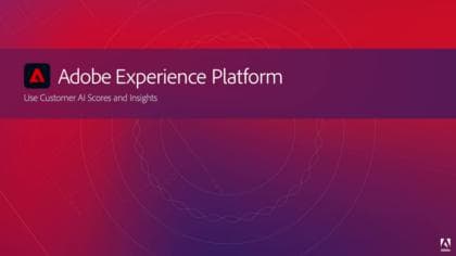 Usar pontuações e insights do Customer AI
