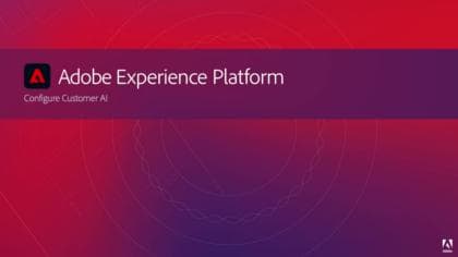 Configurar o Customer AI