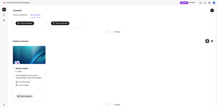 Exibição de conexões existentes na tela Minhas conexões