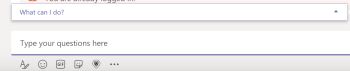 ms_team_type_your_questions_here_and_what_can_I_do_fields.png