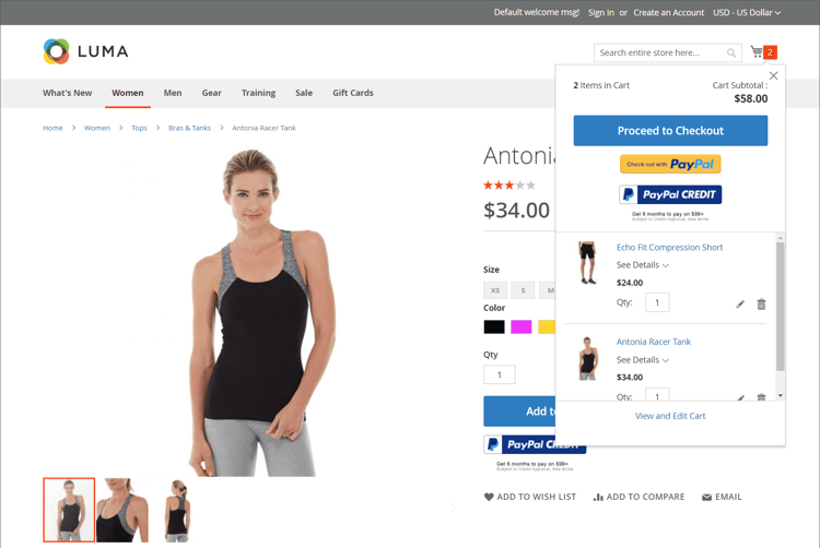 PayPal Payments Pro visas i minikorgen