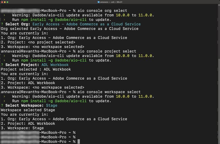 Terminal som visar Adobe I/O CLI-organisationsprojekt och val av arbetsyta