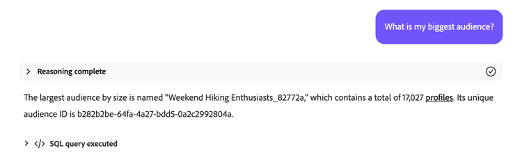 AI-assistenten ger information om den målgrupp som har flest profiler, inklusive namn och målgrupps-ID.