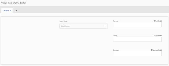 video_independent_fields