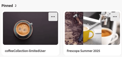 Visa fästa samlingar