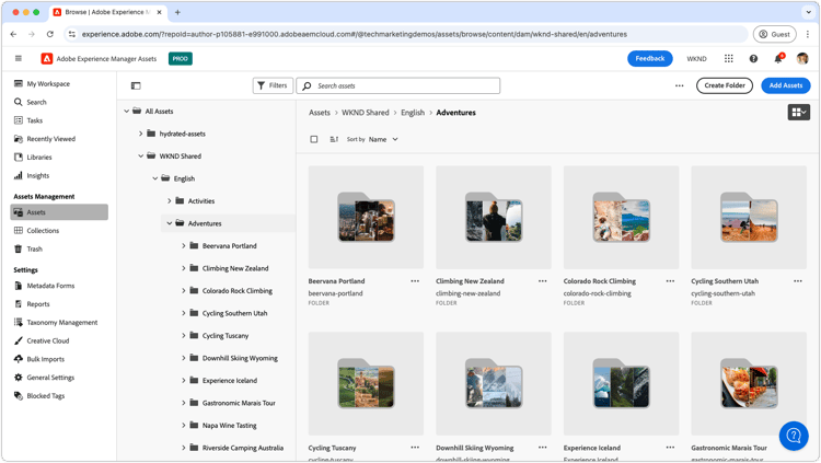 AEM Assets Assets-vy