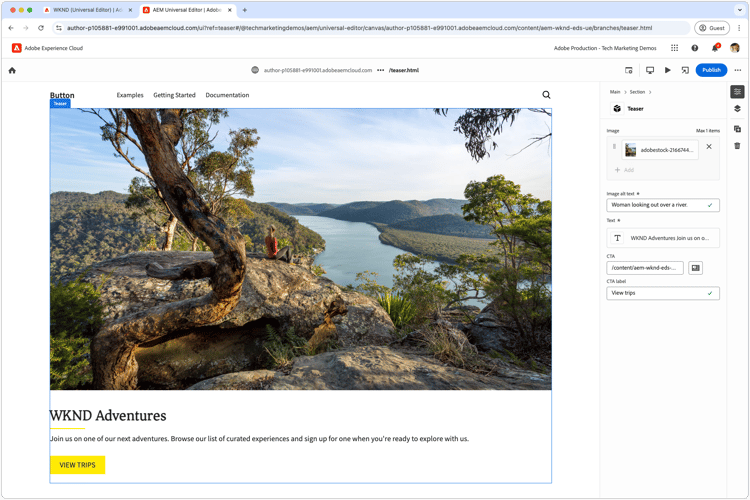 Universell redigerare - Författarblock
