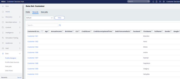 Bild av gränssnittsskärmen där du kan validera Adobe profildata i Designer för kundprofil