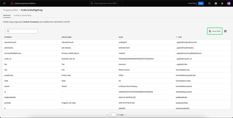 Knappen View JSON är markerad på informationssidan för den potentiella kundens profil.