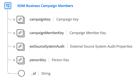 Strukturen för XDM Business Campaign-medlemsklassen så som den visas i användargränssnittet