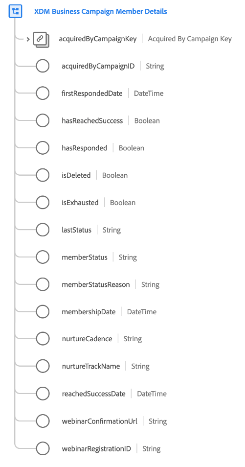 Strukturen för fältgruppen XDM Business Campaign-medlemsinformation så som den visas i användargränssnittet