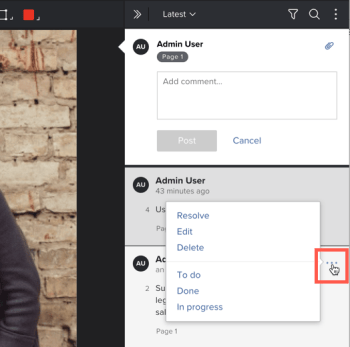Actions_on_comments-More_menu.png