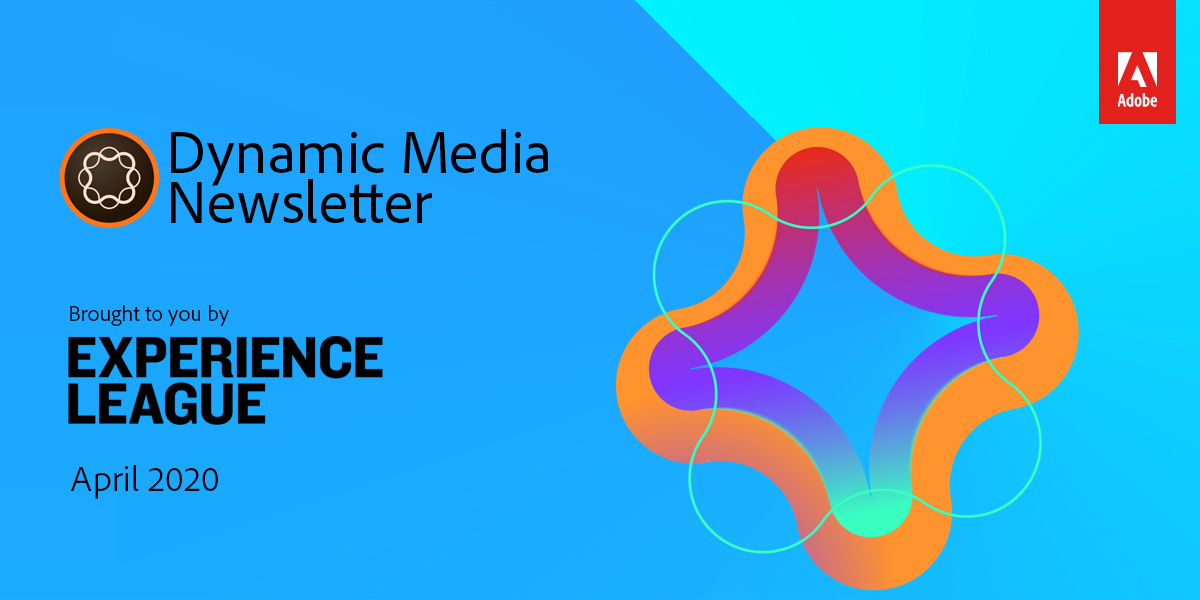 Dynamic Media Newsletter