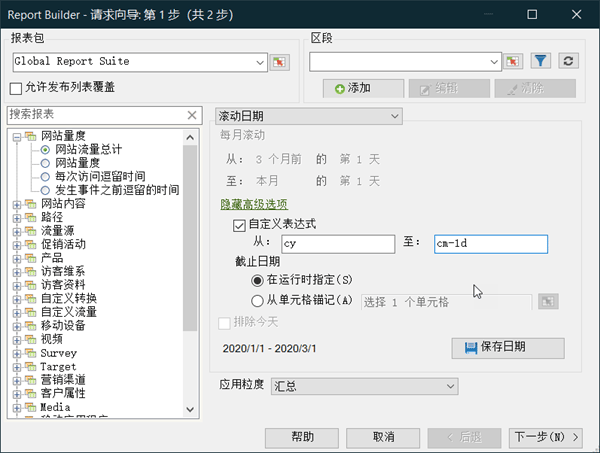 显示选定的“自定义表达式”的屏幕截图。