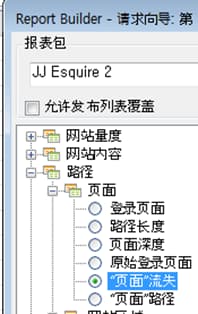 显示Report Builder目录的Windows树视图的屏幕截图。 已选择页面流失。