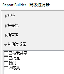 显示下表所述的“高级过滤器”选项的屏幕截图。