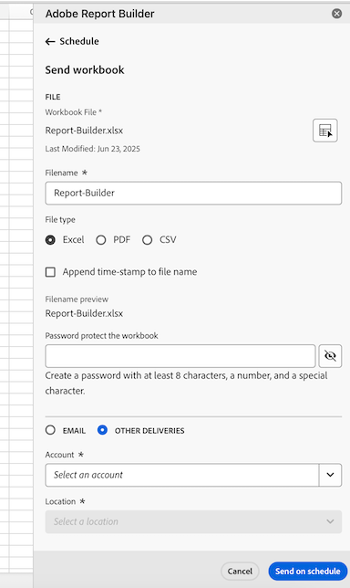 Report Builder计划选项卡