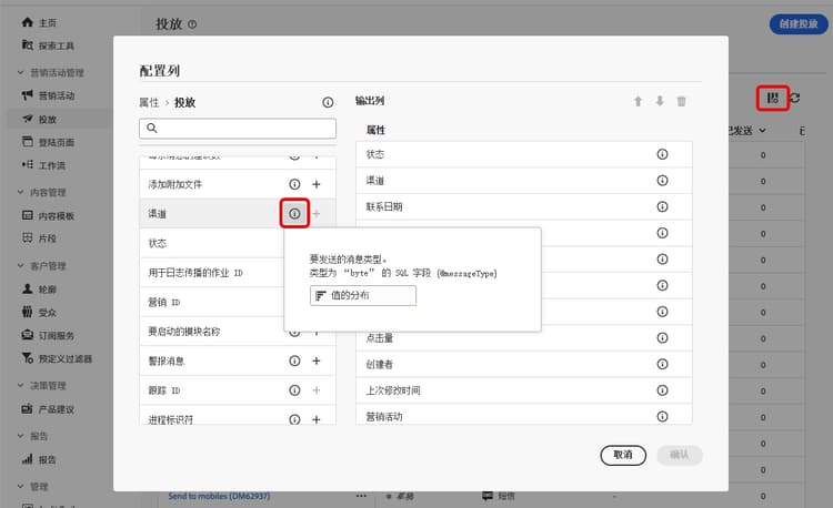 投放的值分配界面