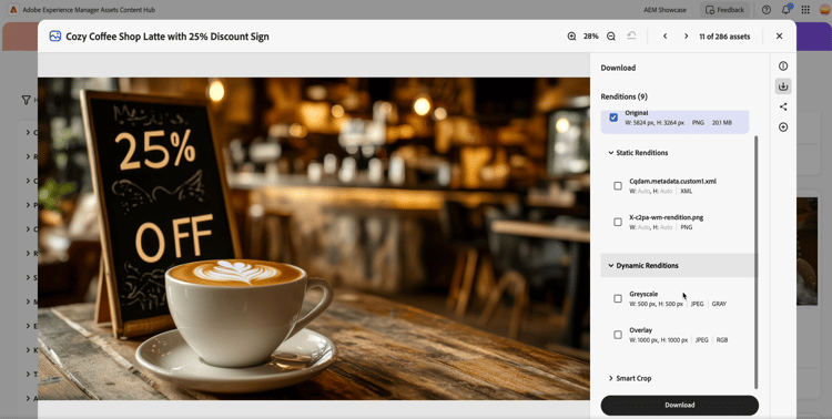 Dynamic Media 演绎版