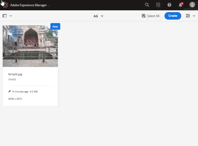 使用特定处理配置文件重新处理选定的资产