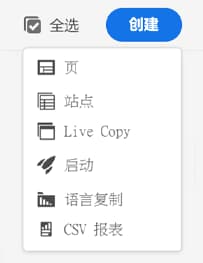 创建 CSV 选项