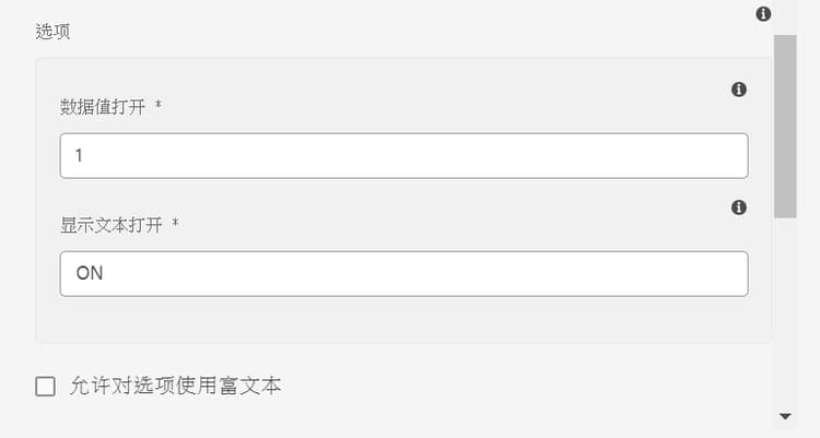 针对选项的富文本支持