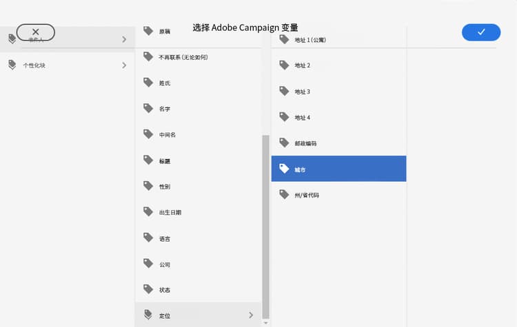 已选择 Adobe Campaign 变量
