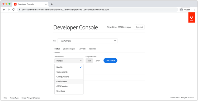 Developer Console — 状态