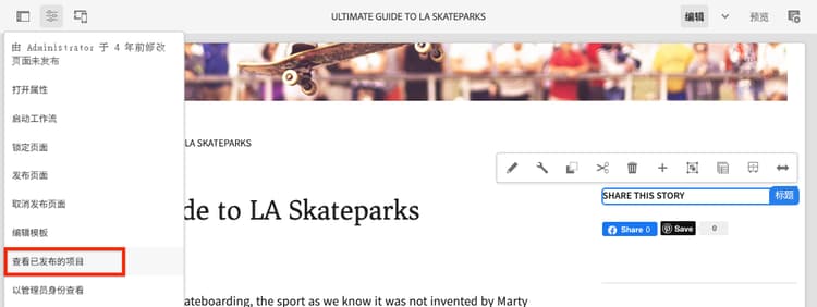 以发布的形式查看