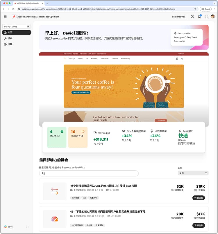 Sites Optimizer 主页