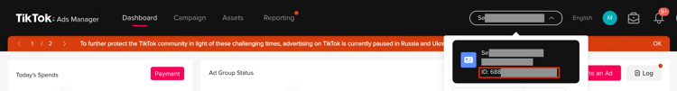 TikTok广告管理器ID
