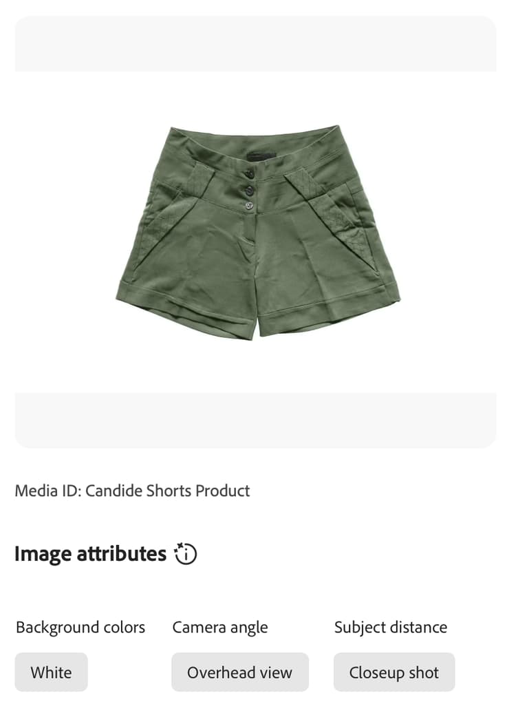 管理费用视图