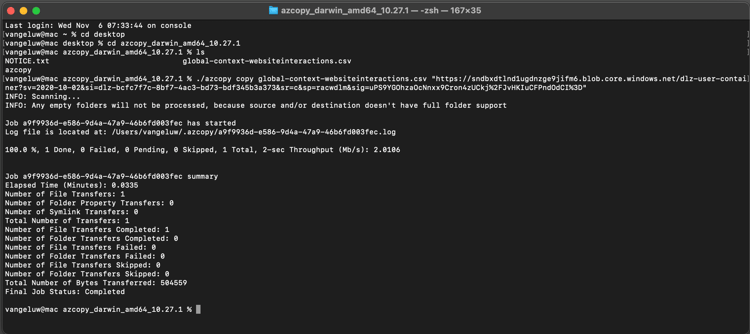 dlz-exec-copy-command.png