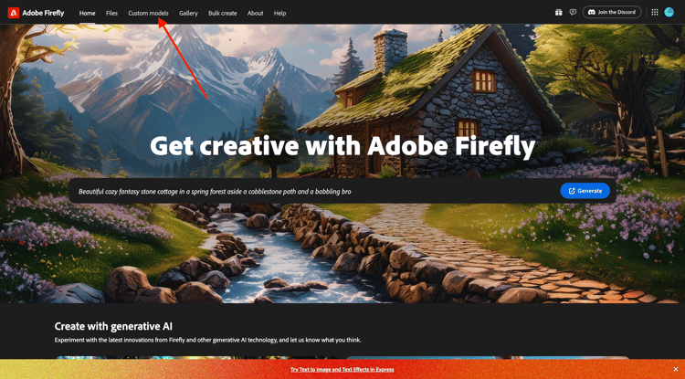 Firefly自定义模型