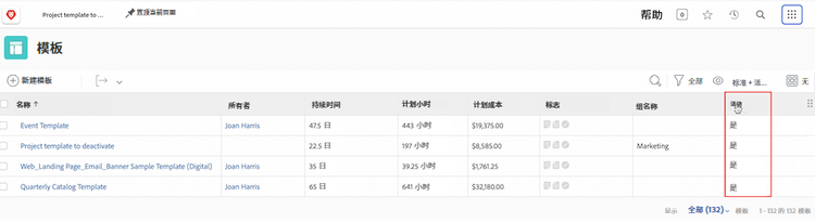 显示项目模板活动状态视图的屏幕图像