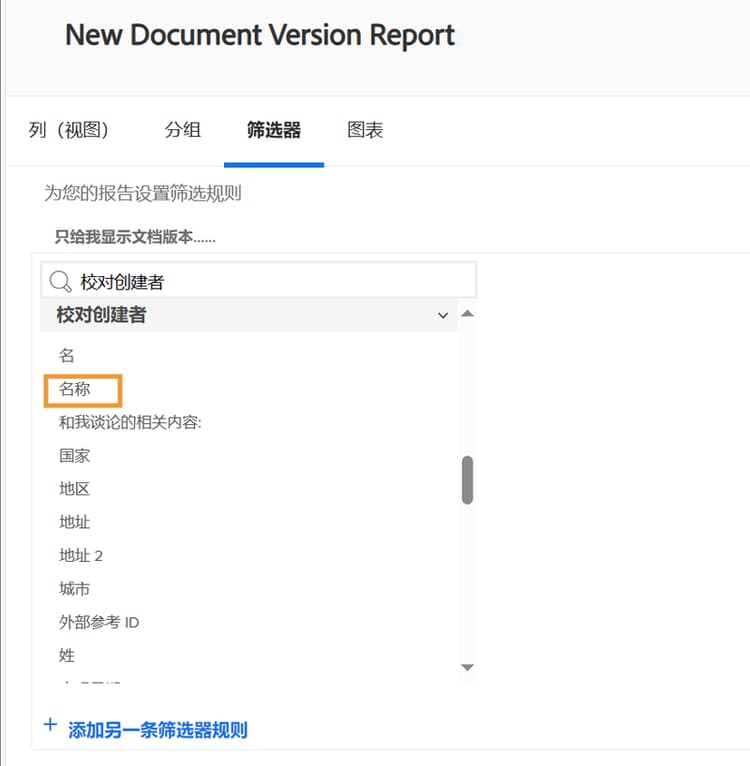 Report Builder 中的“过滤器”选项卡
