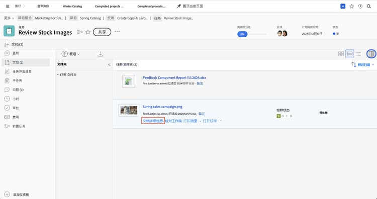 项目 Documents 部分的图像，其中已选择验证并突出显示 Document Details。