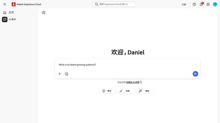 在 Audiences 中用自然语言工作的屏幕快照