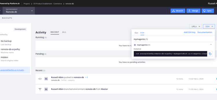 標誌 — Adobe Commerce Cloud Console
