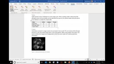 使PDF可訪問：在MicrosoftWord中創作