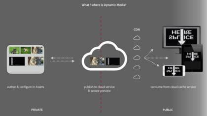 Dynamic Media 概觀