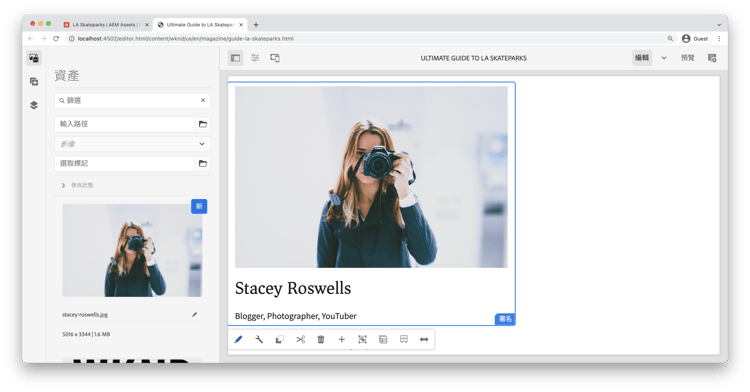 無樣式署名元件