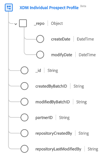 XDM潛在客戶類別的結構描述圖表。