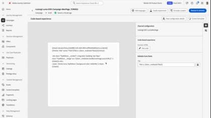 請將表單欄位新增至程式碼型體驗頻道範本