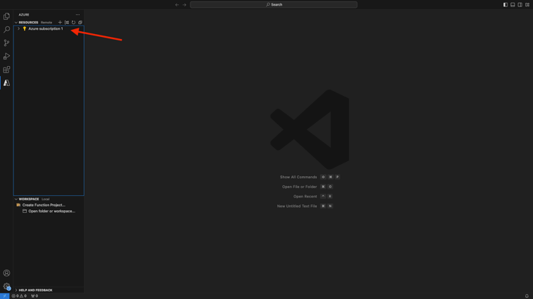 3-04-vsc-logged-in.png