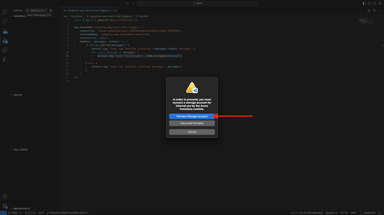 3-17-vsc-run-project.png