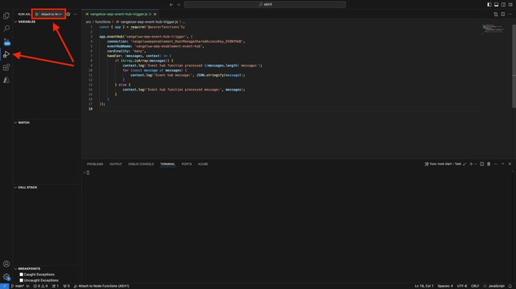 3-17-vsc-run-project.png