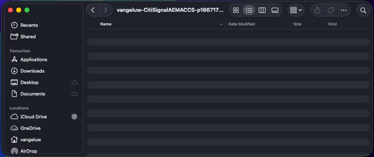 ACCS+AEM Assets